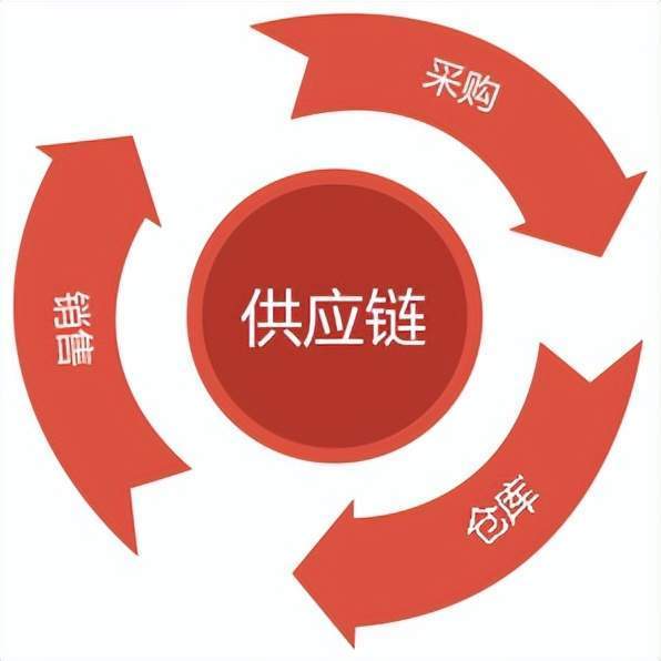 家政服务业怎么入行康乃馨